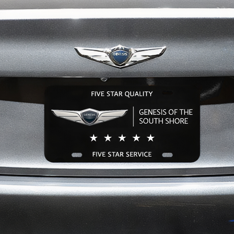 Custom License Plate Insert - .040 Styrene